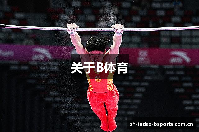 关于B体育